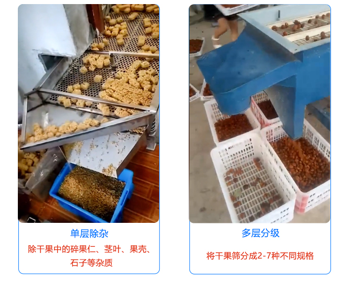 幹果除雜直線振動篩應用